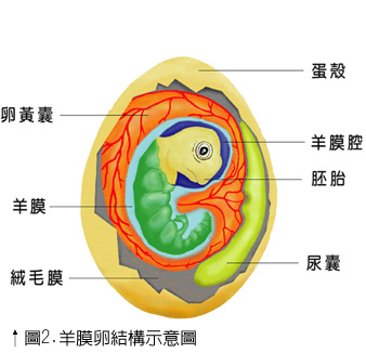 2-1b.JPG (47258 bytes)