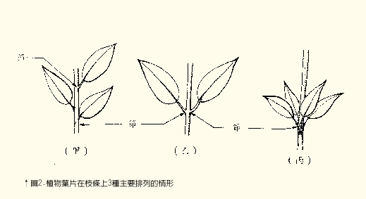 5-1c.GIF (4589 bytes)