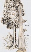 5-2a1.jpg (6229 bytes)