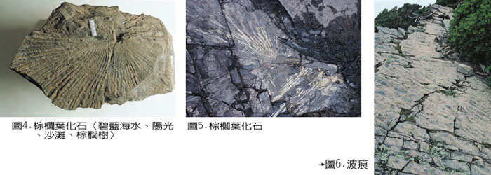 11-4.5.JPG (60632 bytes)