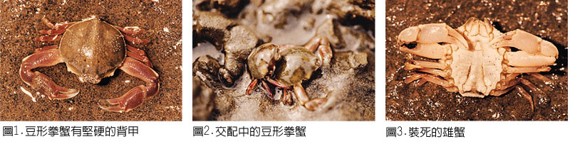 9-1.2.JPG (82706 bytes)