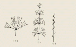 5-3.gif (13190 bytes)