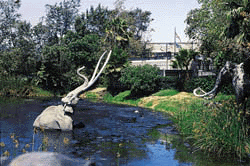 p1-1.GIF (38189 bytes)