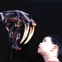 1-201.gif (24550 bytes)
