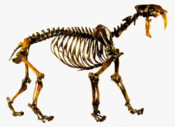 1-202.gif (15192 bytes)