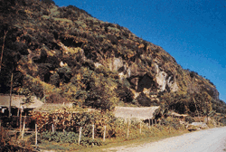 2-101.gif (35739 bytes)