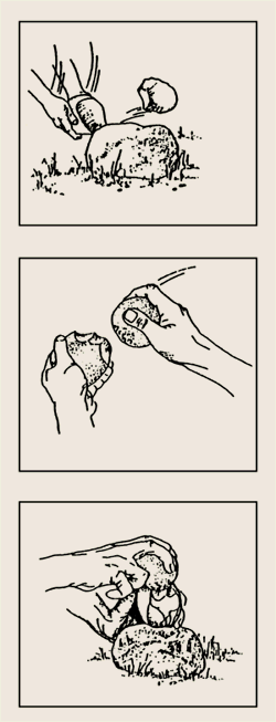 2-102.gif (26224 bytes)