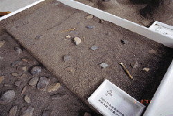 2-107.gif (33843 bytes)