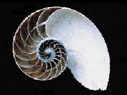 4-103.gif (23096 bytes)