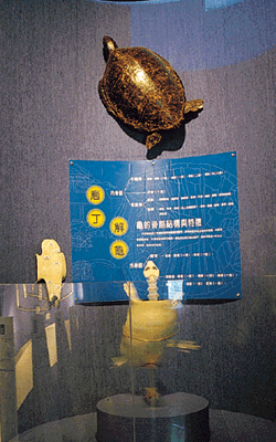 7-102.gif (67418 bytes)