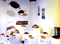 7-103.gif (27434 bytes)