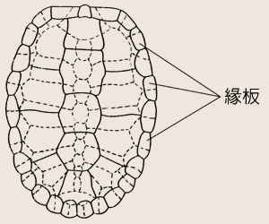 7-201.gif (15060 bytes)