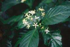 3-3.jpg (7245 bytes)