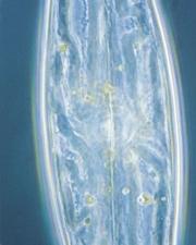 3-4.jpg (7960 bytes)