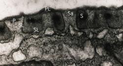 3-7.jpg (10091 bytes)