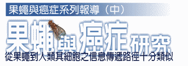 08-1.gif (12010 bytes)